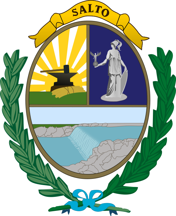 Escudo de Salto